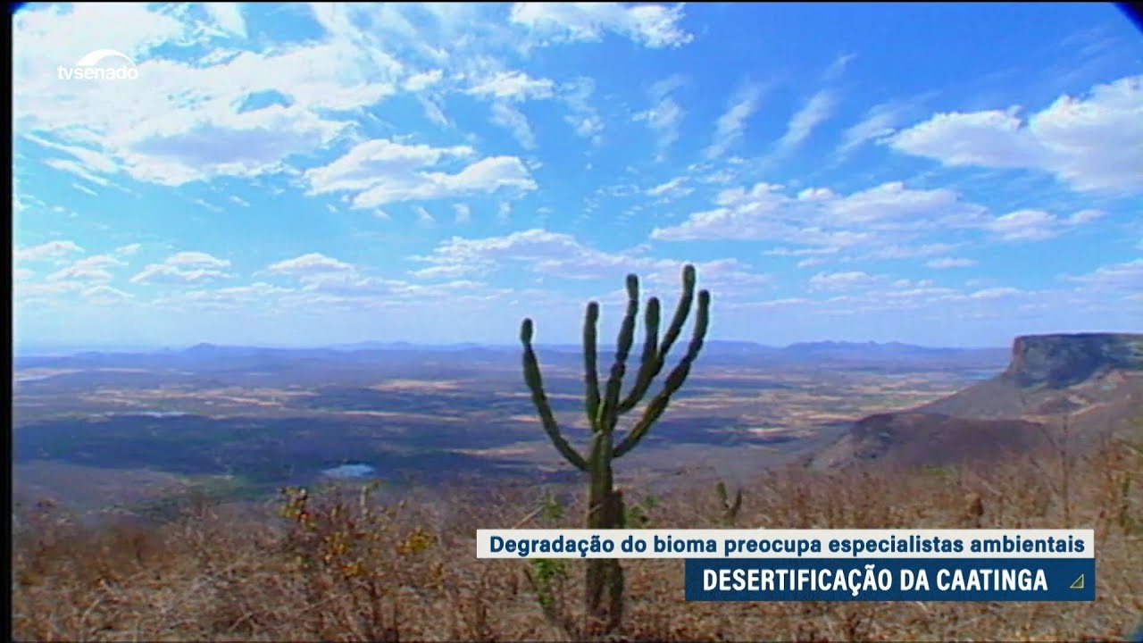 Vídeo: Caatinga corre risco de desertificação aponta debate