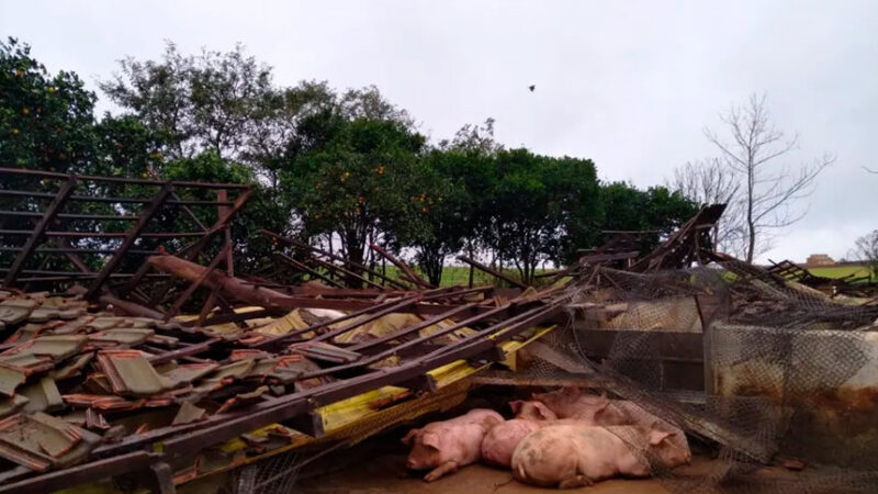 Projeto impede penhora de pequena propriedade afetada por calamidade — Senado Notícias