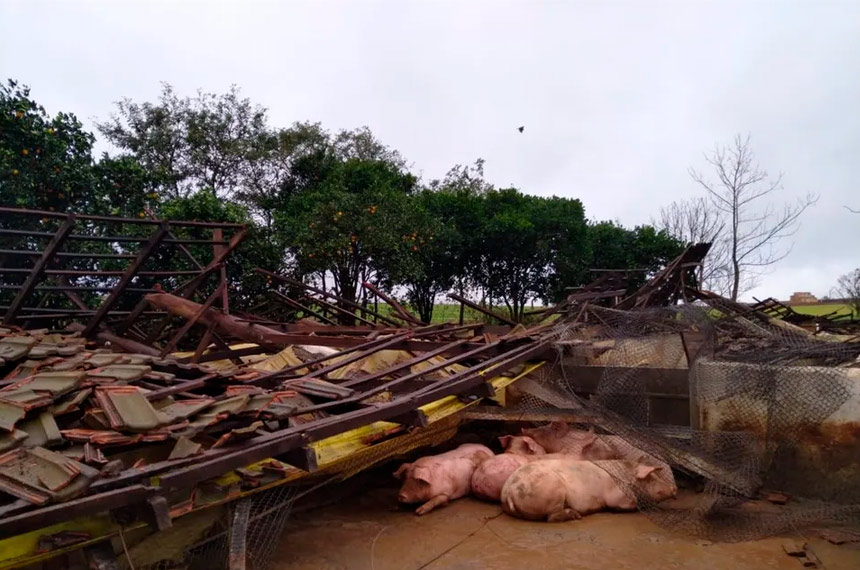 Projeto impede penhora de pequena propriedade afetada por calamidade — Senado Notícias