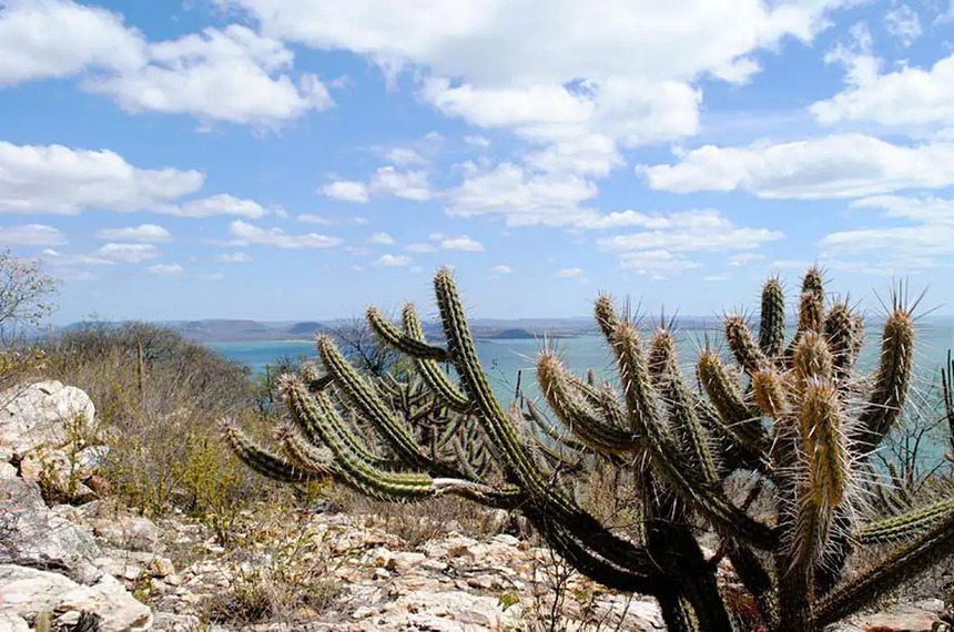 Projeto sobre o Fundo Nacional sobre Mudança do Clima está na pauta da CAE — Senado Notícias