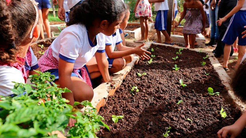 Plenário terá sessão especial pelos 25 anos da Política Nacional de Educação Ambiental — Senado Notícias