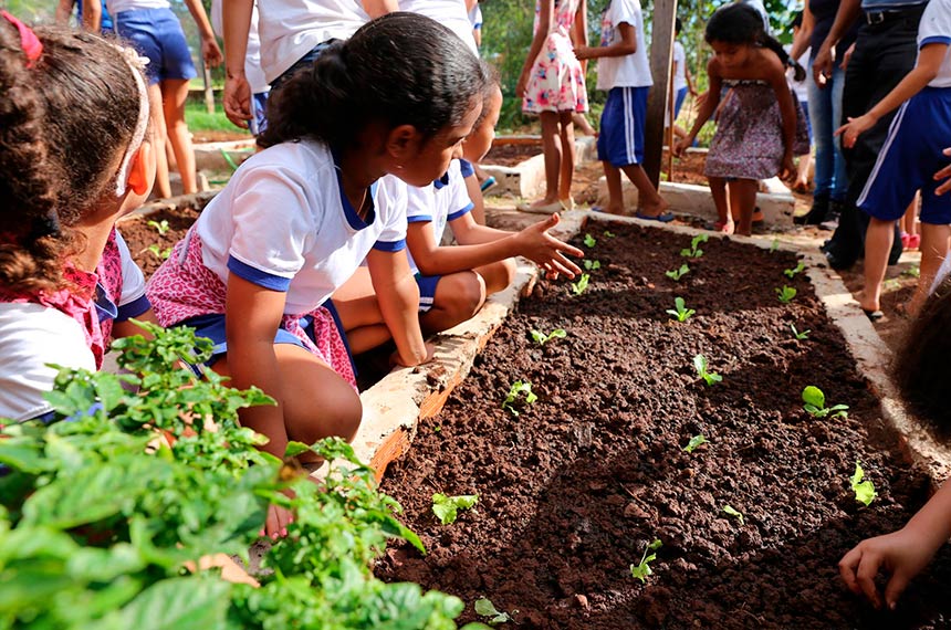 Plenário terá sessão especial pelos 25 anos da Política Nacional de Educação Ambiental — Senado Notícias