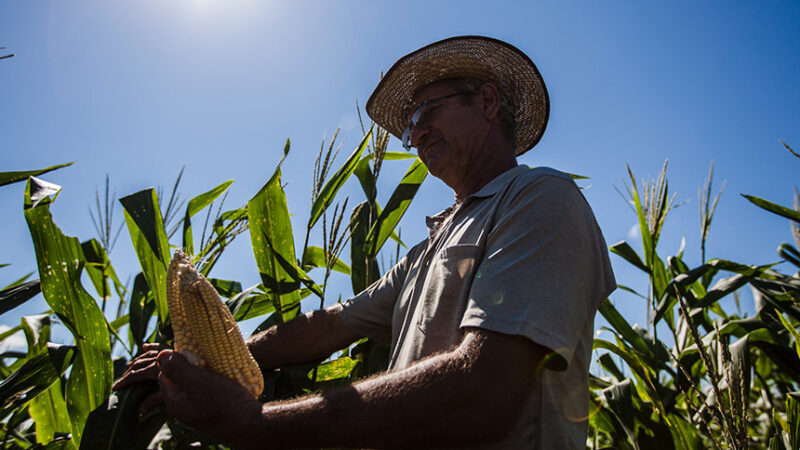 CRA pode votar incentivo para agricultores familiares produzirem biocombustíveis — Senado Notícias