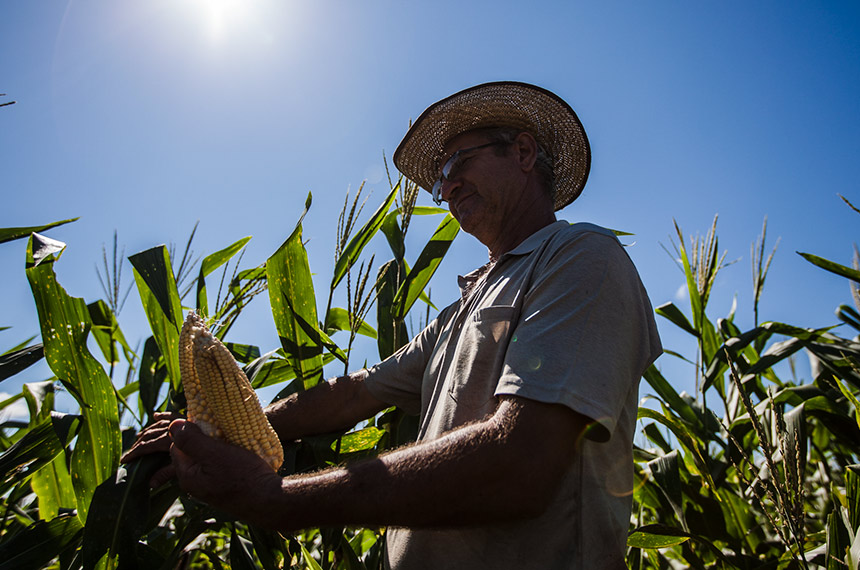 CRA pode votar incentivo para agricultores familiares produzirem biocombustíveis — Senado Notícias