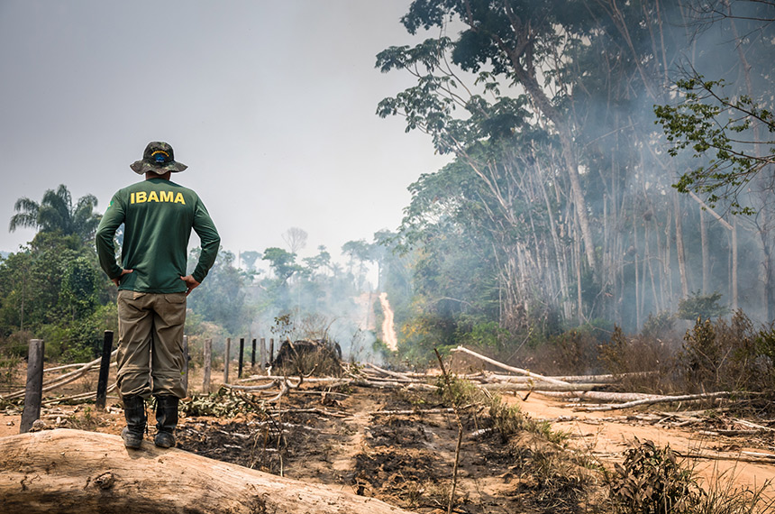 CMA analisa projeto que destina área de queimada ilegal ao reflorestamento — Senado Notícias