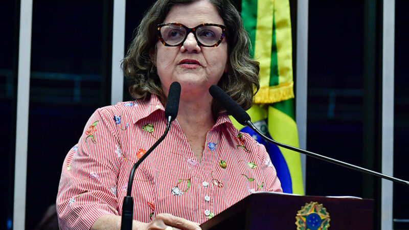 Teresa Leitão afirma que PEC dos terrenos de marinha atende interesse privado — Senado Notícias