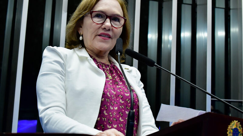 Zenaide defende ausência de ministra da Saúde em sessão sobre assistolia fetal — Senado Notícias