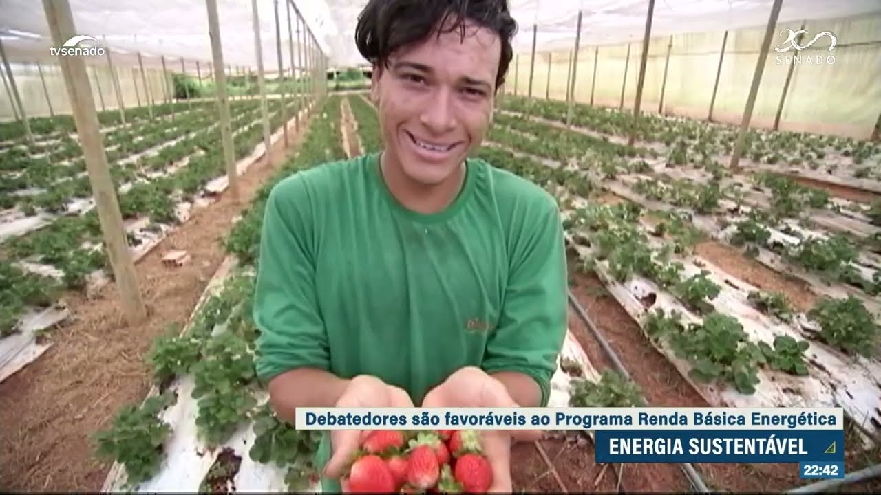 Debate defende incentivo a energia solar para família rural de baixa renda — Senado Notícias