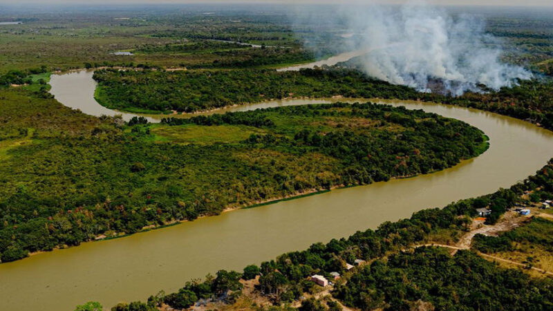 Estatuto do Pantanal está na pauta da Comissão de Meio Ambiente — Senado Notícias