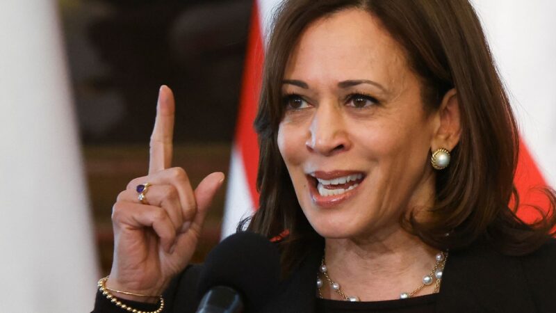 Kamala pede união ao Partido Democrata para derrotar Donald Trump