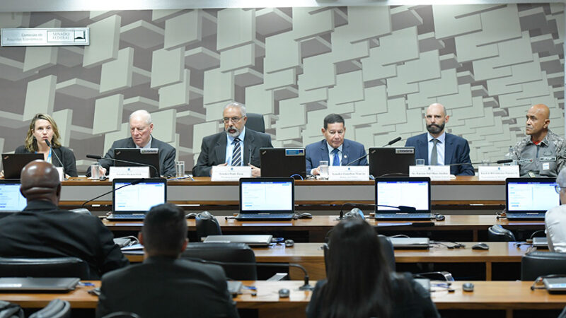 Comissão do RS defende políticas de atendimento a deslocados por enchentes — Senado Notícias