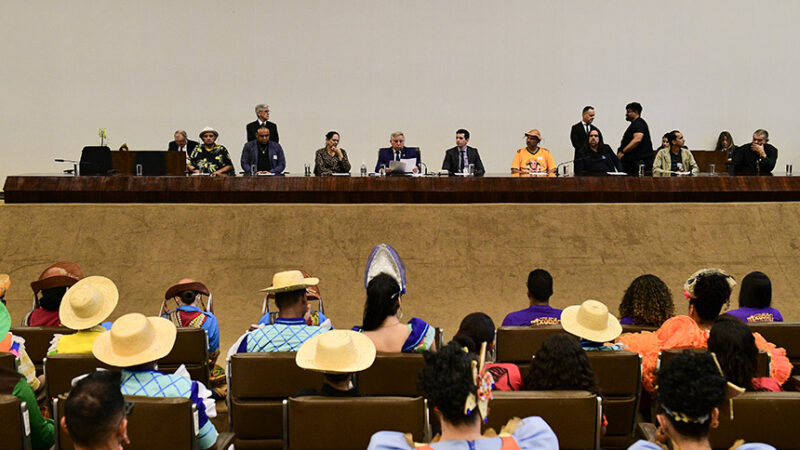 Sessão especial destaca a luta e o talento das quadrilhas juninas — Senado Notícias