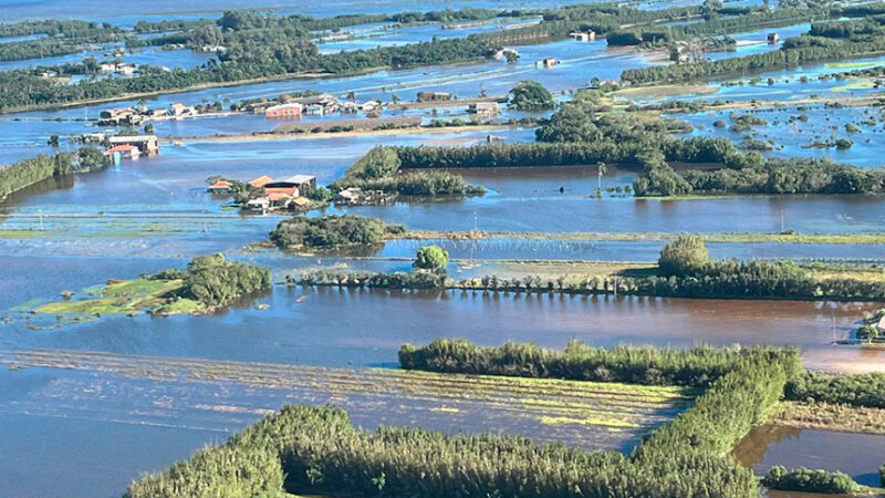 Comissão debate com Embrapa soluções para recuperar agricultura no RS — Senado Notícias