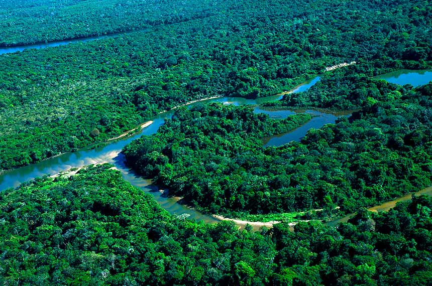 Subcomissão sobre ativos ambientais debate proteção da vegetação nativa — Senado Notícias