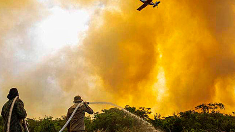 MP libera R$ 137,6 milhões para combate a queimadas no Pantanal — Senado Notícias