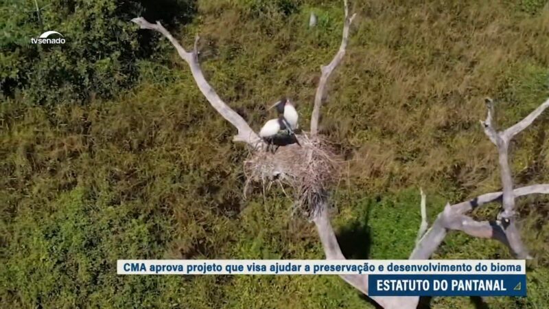 Veja o que prevê o projeto do Estatuto do Pantanal — Senado Notícias