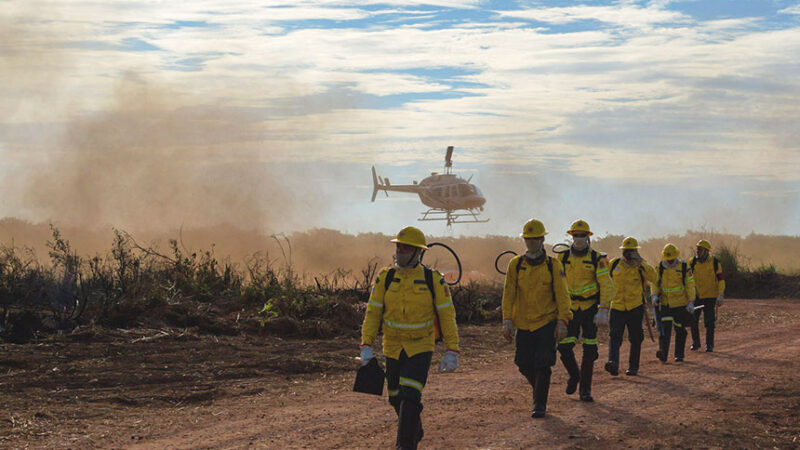 Medida provisória agiliza recontratação de pessoal para combate a incêndios — Senado Notícias