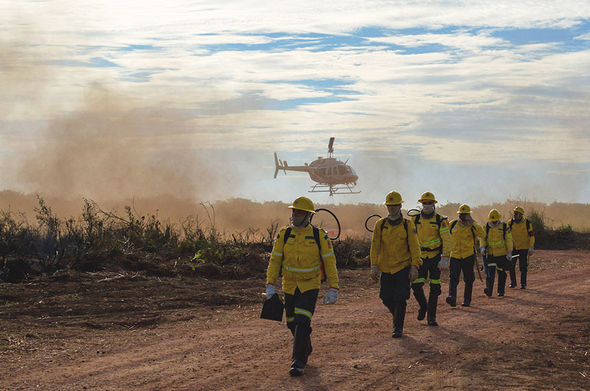 Medida provisória agiliza recontratação de pessoal para combate a incêndios — Senado Notícias