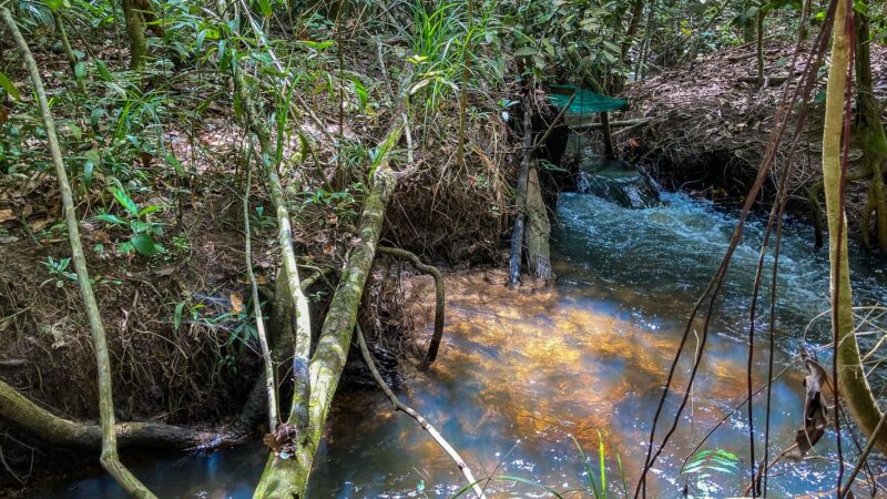 Estudo aponta impacto negativo de mudanças climáticas na agricultura