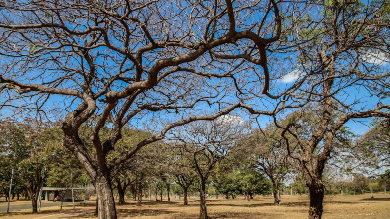 Inmet alerta sobre baixa umidade no Centro-Oeste e no Tocantins