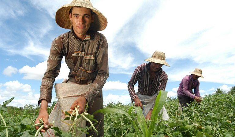 CRA tem na pauta programa nacional para jovens agricultores — Senado Notícias