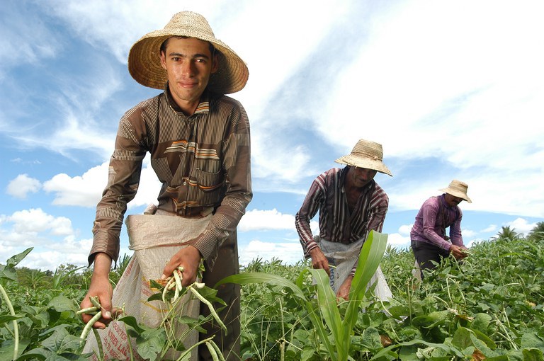 CRA tem na pauta programa nacional para jovens agricultores — Senado Notícias