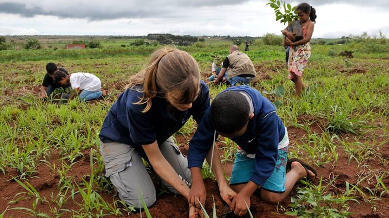 Lei inclui mudança climática e biodiversidade na educação ambiental — Senado Notícias