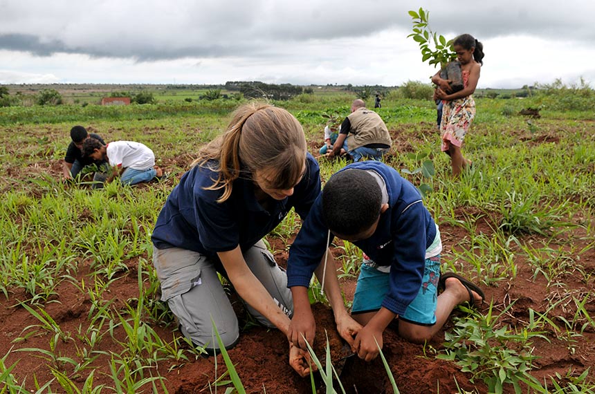 Lei inclui mudança climática e biodiversidade na educação ambiental — Senado Notícias