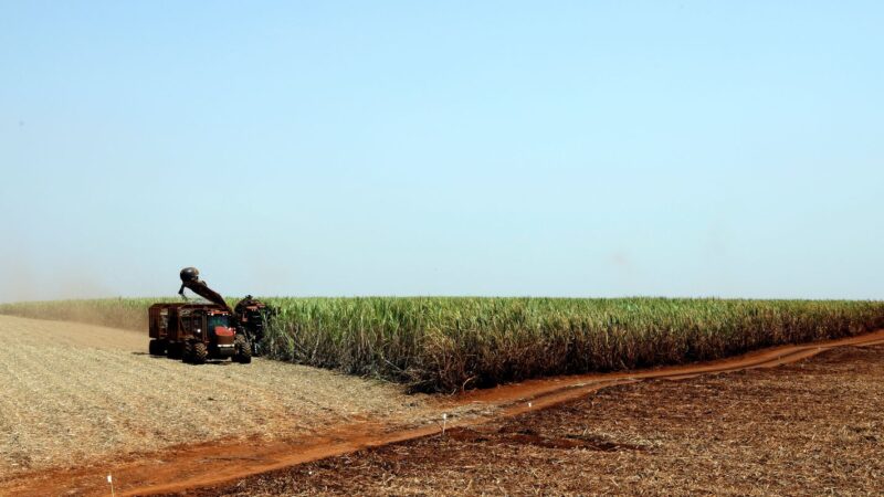 Governo libera R$ 210 milhões para o seguro rural no Rio Grande do Sul