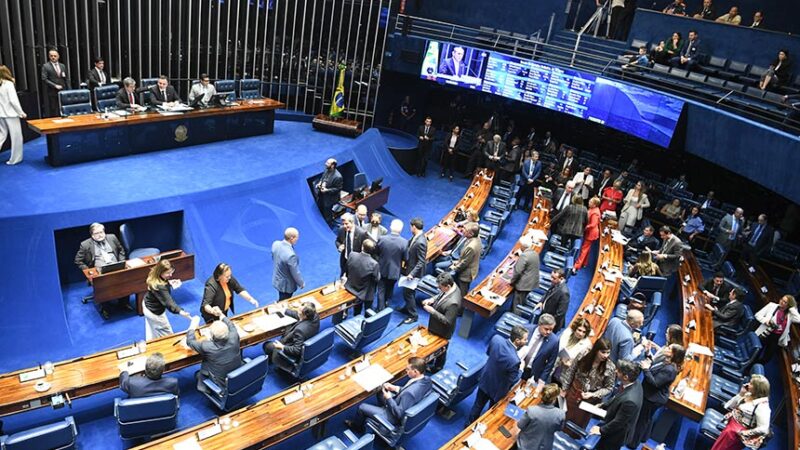 Senado pode votar na quinta política nacional de incentivo à produção de coco — Senado Notícias