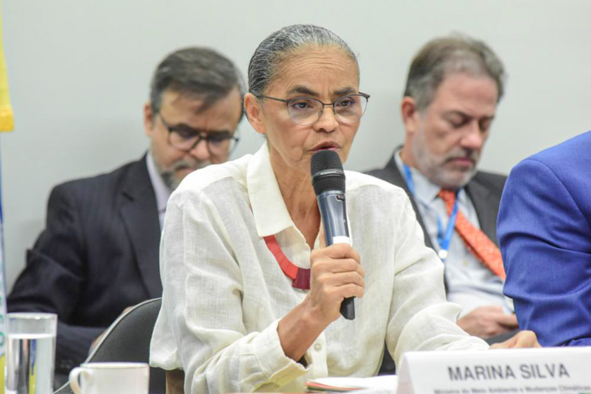 CMA recebe Marina Silva para discutir incêndios em biomas brasileiros — Senado Notícias