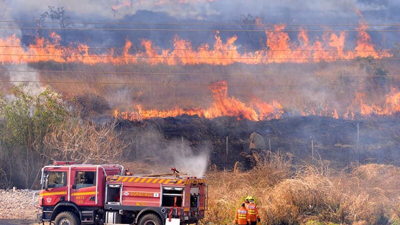 Nova lei define regras para uso do fogo em áreas rurais — Senado Notícias