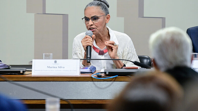 Ministra Marina Silva falará na CMA sobre incêndios florestais no país — Senado Notícias