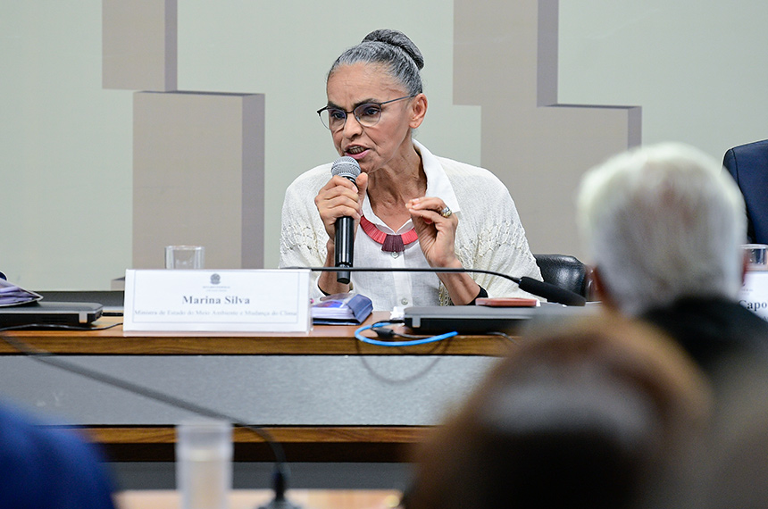 Ministra Marina Silva falará na CMA sobre incêndios florestais no país — Senado Notícias