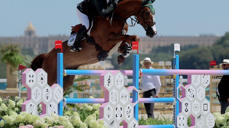 Rodrigo Pessoa e Stephen Barcha conquistam vaga para final do hipismo