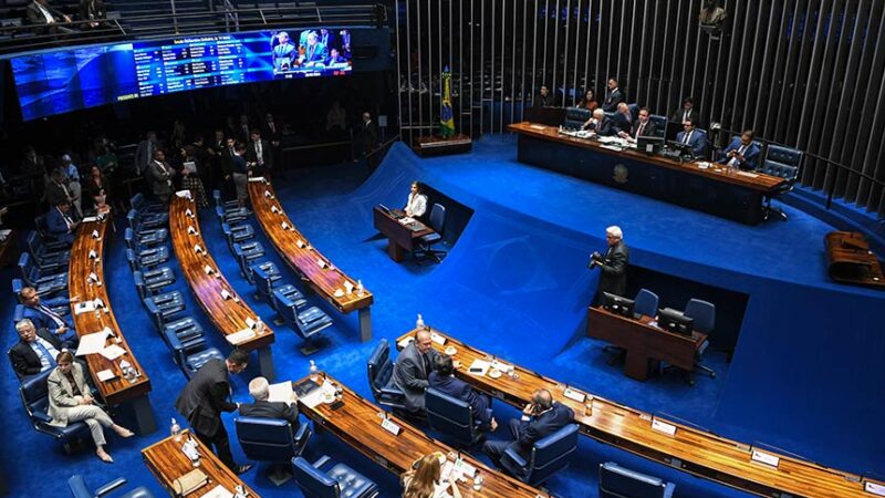 Congresso celebra os 40 anos do Movimento de Mulheres Camponesas — Senado Notícias