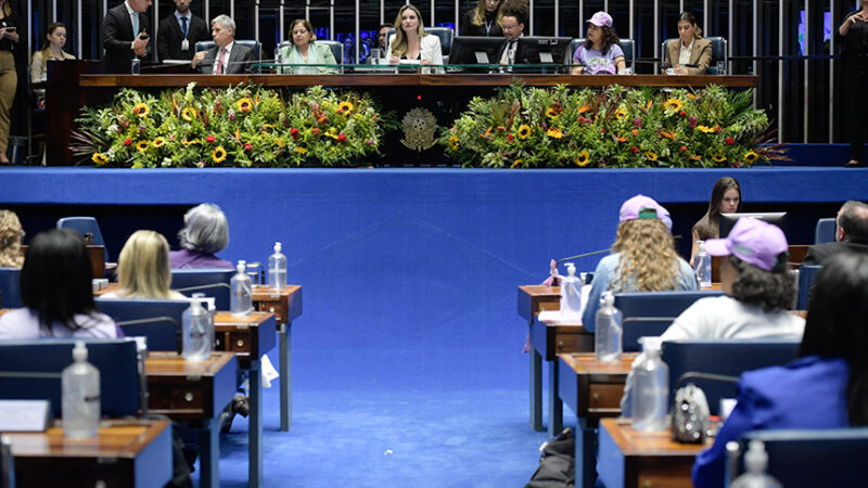 Sessão solene marca 40 anos do Movimento de Mulheres Camponesas — Senado Notícias