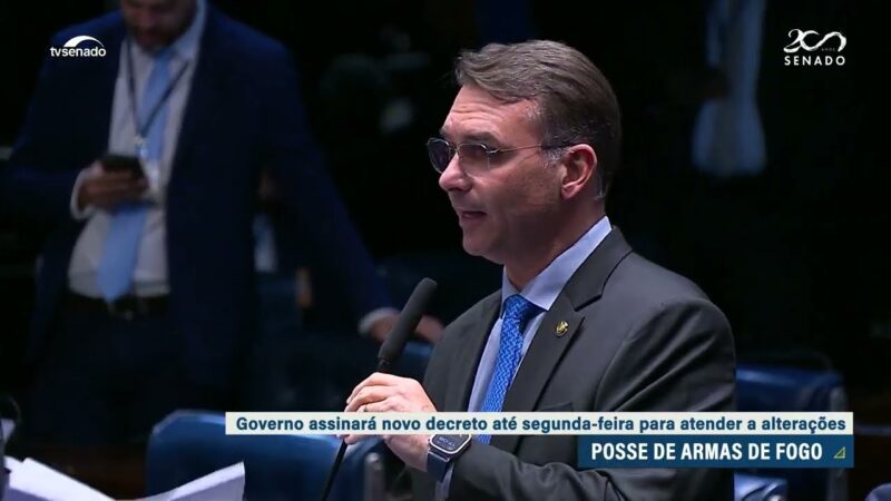 À espera de novo decreto, Senado retira de pauta projeto sobre posse de armas — Senado Notícias