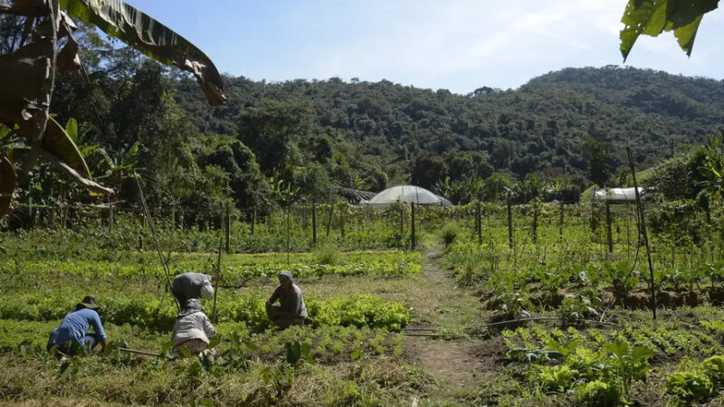 Incentivo à permanência de jovens no campo está na pauta da CRA — Senado Notícias