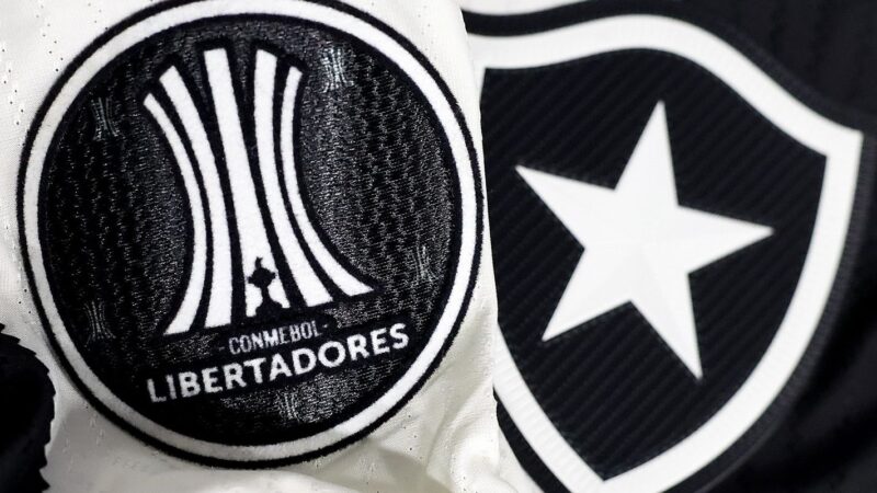 Botafogo irá banir torcedor que cometeu racismo contra Palmeiras