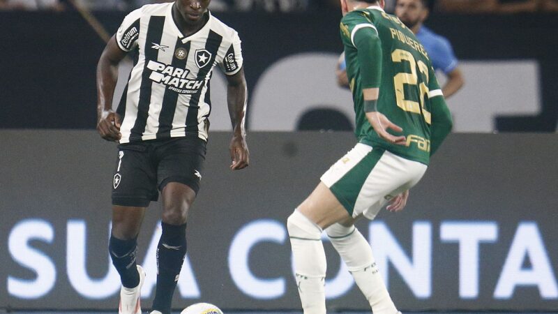 Botafogo recebe Palmeiras no primeiro jogo das oitavas da Libertadores