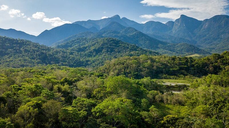 Para preservar Mata Atlântica, projeto cria rota turística em três estados — Senado Notícias