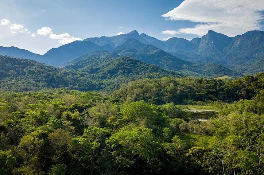 Para preservar Mata Atlântica, projeto cria rota turística em três estados — Senado Notícias