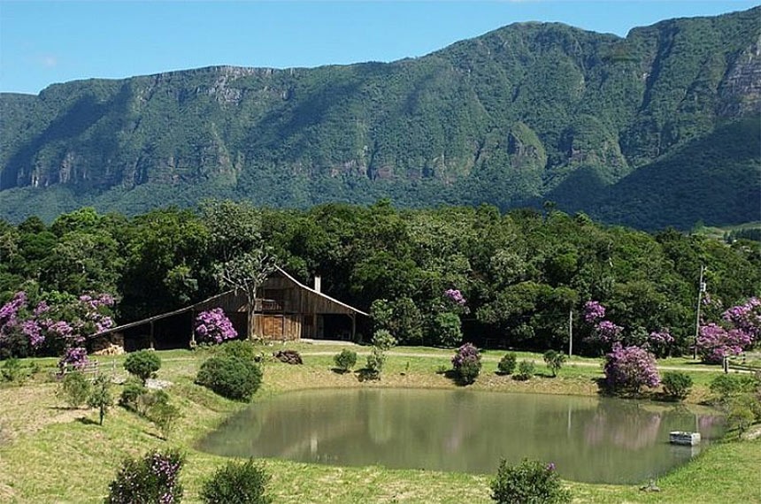 Santa Rosa de Lima, em Santa Catarina, é a Capital Nacional da Meliponicultura — Senado Notícias