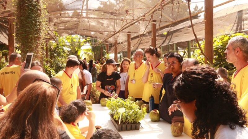 Senado oferece oficina de educação ambiental a pessoas com deficiência — Senado Notícias