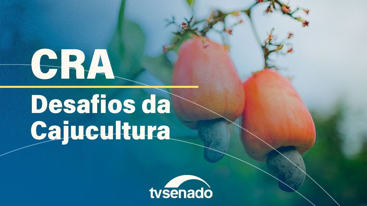 Caju é tema de debate na Comissão de Agricultura – 2/9/24 — Senado Notícias