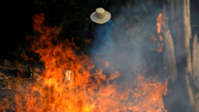 MP libera R$ 514 mi para combate a incêndio na Amazônia — Senado Notícias