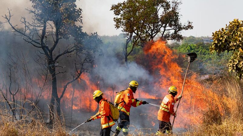 Chega ao Congresso MP que facilita repasses para combate a incêndios — Senado Notícias