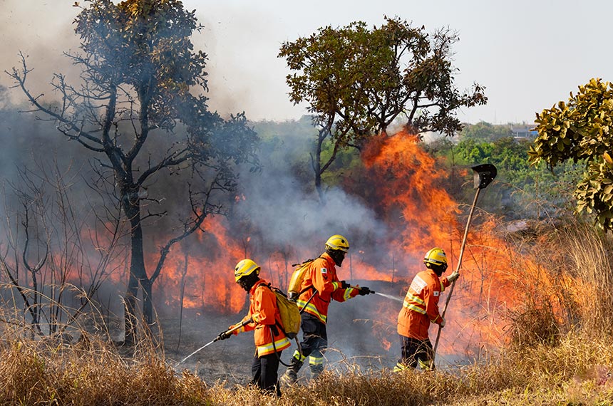 Chega ao Congresso MP que facilita repasses para combate a incêndios — Senado Notícias