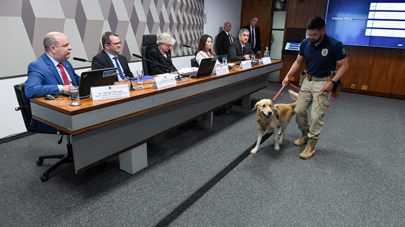 Audiência na CMA discutiu segurança no transporte de animais em voos — Senado Notícias